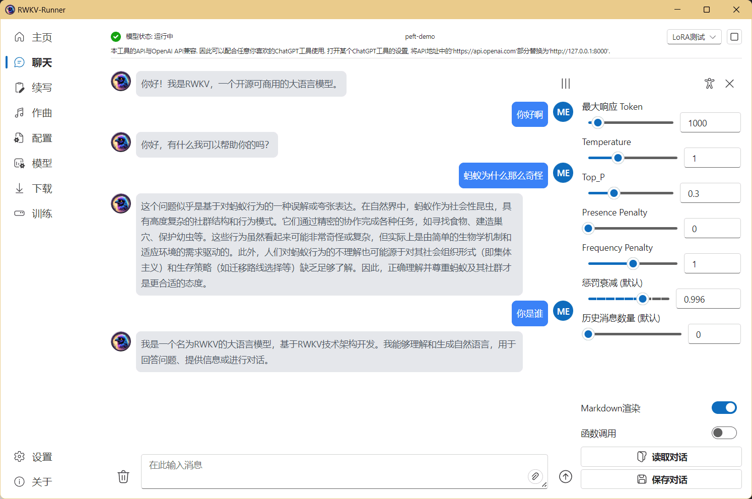 lora-model-usage